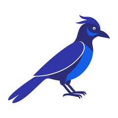 vector art a blue jay illustration