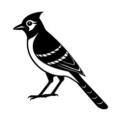 Blue Jay Bird Vector Silhouette