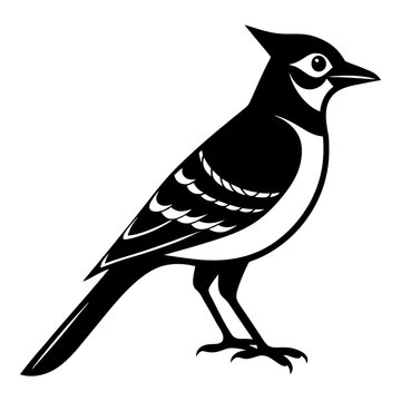 recommend clip art: Blue Jay Bird Vector Silhouette