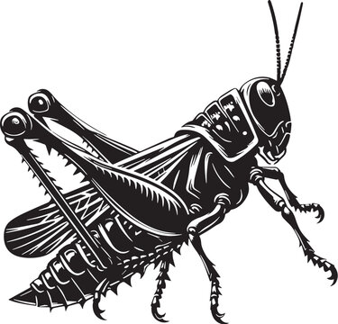 Grasshopper clip art preview