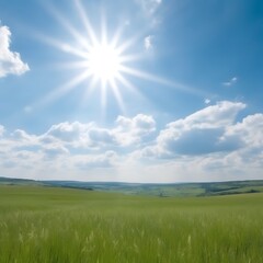 Obraz premium Sunny Day Over Lush Green Fields and Blue Sky