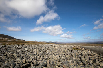 Falkland Island landscape.