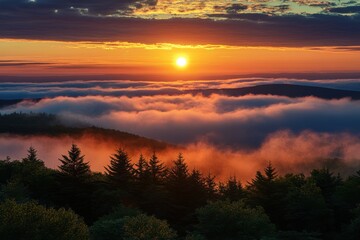 Fototapeta premium Sunrise Over Misty Mountains Illuminates Forest Trees