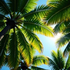 Fototapeta premium Dense palm leaf canopy, sunlight filtering through, sun, sunlight