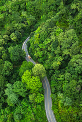 Road in the middle of the forest , Rainforest road curve construction up to mountain , Green forest...