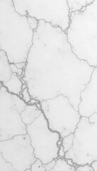 Obraz premium Vast white marble background Ideal for design projects , minimal, veined
