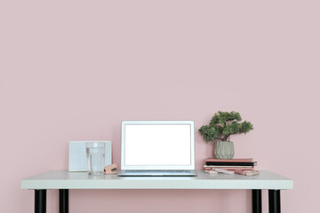 Fototapeta premium Stylish workplace with houseplant and laptop in office