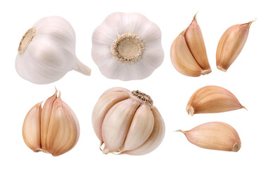 garlic and garlic cloves isolated on the white background, cut out, clipping path, collection, set