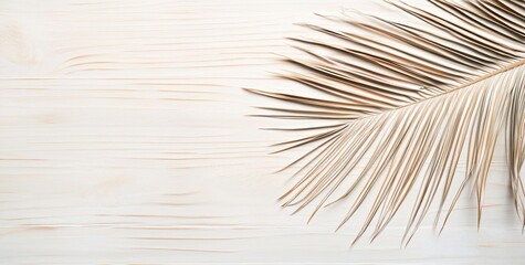 Obraz premium Dried palm leaf on white wood background.