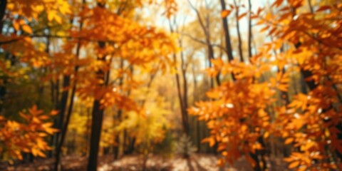 A Soft Focus of Autumn Foliage in a Forest, Capturing the Warm Hues of Nature's Transformation
