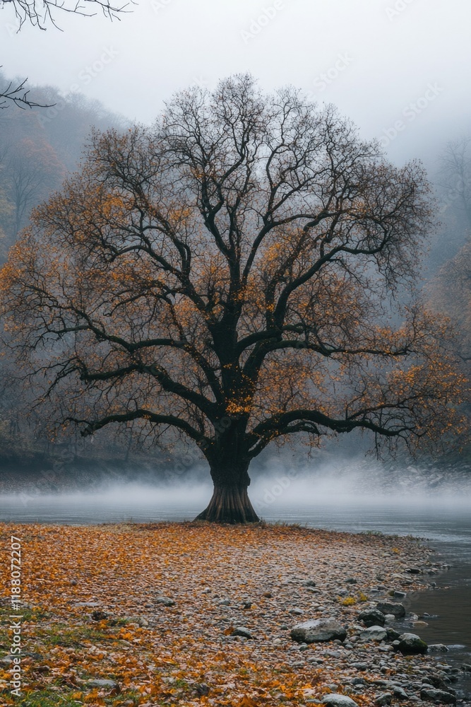 Poster large tree stands alone in a field of autumn leaves. the leaves are falling from the tree, creating 