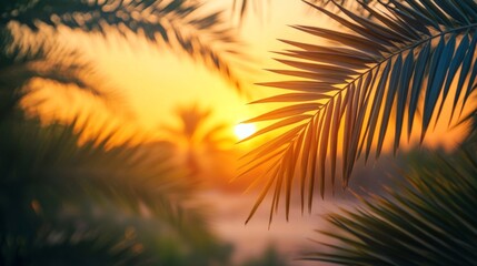 Palm Fronds Silhouetted Against A Vibrant Sunset