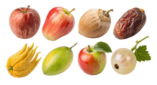 Exotic tropical fruits set Isolated collection of mountain apple, mamoncillo, betel nut, buddha's hand citrus, currant, desert date, velvet apple, and kei apple on a white background, isolated cutouts