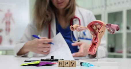 Abbreviation HPV on wooden blocks and uterus model against doctor with records in hospital. Human papillomavirus treatment concept slow motion