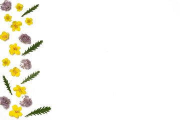 Flowers on white background. Flat lay, top view. Copy space