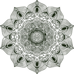 Beautiful flower art and mandala vector design