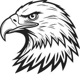 Obraz premium Eagle Head Illustration