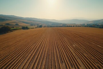 Drought-stricken farmland