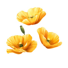 Poppy Flower Clipart Vector Illustration