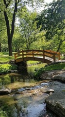 Serene Wooden Bridge Over Tranquil Stream in Lush Green Park