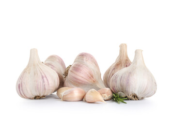 Many fresh garlic with cloves and rosemary on white background