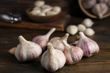 Many fresh garlic on wooden background