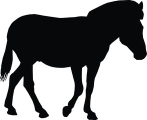 Zebra silhouette vector art on white background 