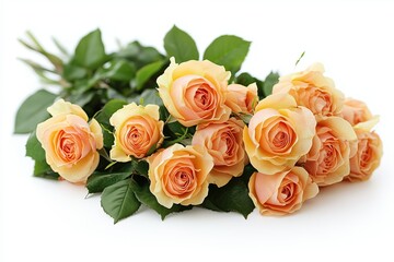 Fresh Cut Rose  Bouquet of Flowers, Valentine's Day Wedding Bridal Romantic Greeting Card Element Isolated Floral Marketing, White Background