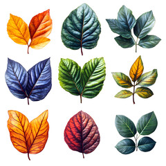 Obraz premium Vibrant Autumn Leaves Collection - Digital Art
