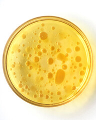 Oil on oil in petri dish, beauty construction for your skincare rutine.