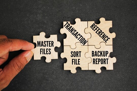 What are the 5 types of computer files? Types of Computer Processing Files ie Master files, Transaction, Reference, Backup, report and Sort file - Powered by Adobe