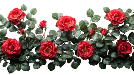 Red Rose Garland: A vibrant and alluring garland of red roses, bursting with blossoms and buds, creates a lush and romantic border for your design.