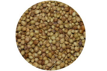 A Bowl of coriander seeds 