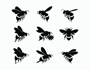 Abstract Bee Silhouette Collection Vector Template