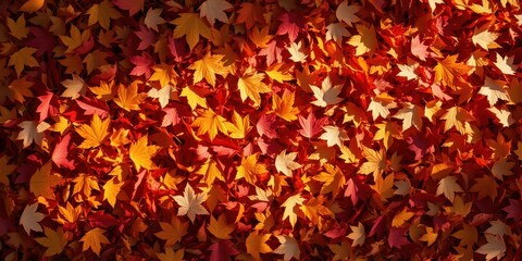 A captivating display of autumnal foliage, featuring vibrant hues of crimson, scarlet, orange, and gold, showcasing the intricate details of fallen maple leaves.