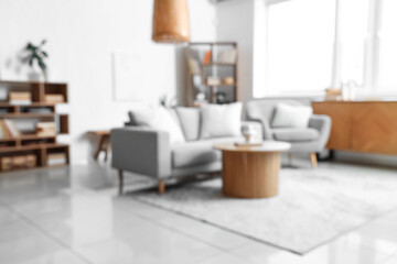 Blurred view of light living room with sofa, armchair and bookshelves