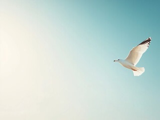 Obraz premium A majestic white seagull soars effortlessly through the sky, its wings spread wide as it skillfully navigates the gentle currents of the wind.