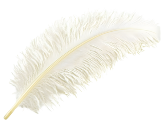 Elegant white feather floating on a clean minimalist background with copy space