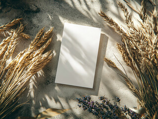 Rustic flat lay blank wedding invitation card golden wheat stalks textured sand illuminated soft sunlight countryside natural aesthetic greeting mockup paper white shadow rural warm boho cozy vibe
