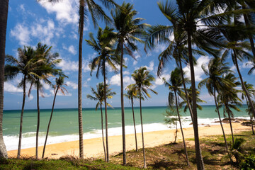Beach with white sand with beach house on a tropical island. Beautiful sky, sea, resort. Seascape Ocean and beautiful beach paradise Travel