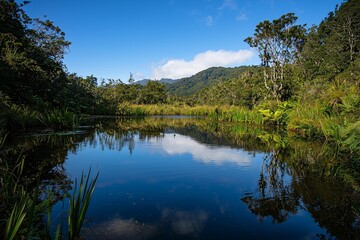 Water Ripple Effect on a Calm Pond Surrounded by Green Foliage &ndash; Nature Reflection Photography Bali