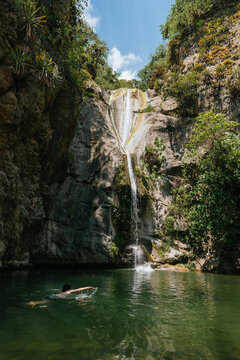 Rear view of shirtless man swimming in river by waterfall at forest