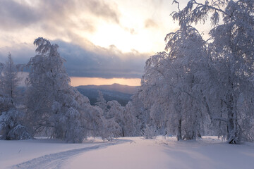 Winter snow-covered trees in the Ural mountains