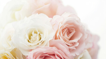 A soft pink ombre effect blending seamlessly into white, creating a gentle and romantic background perfect for love-themed designs and elegant projects.

