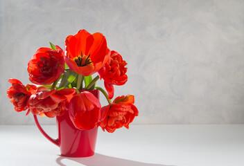 A bouquet of red tulips in a red vase on a light background. Copy space