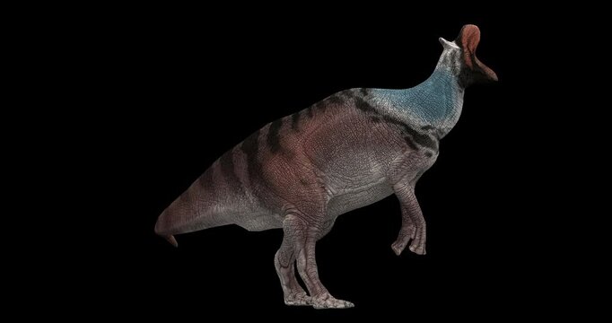 Dinosaur rotating on a transparent backround


