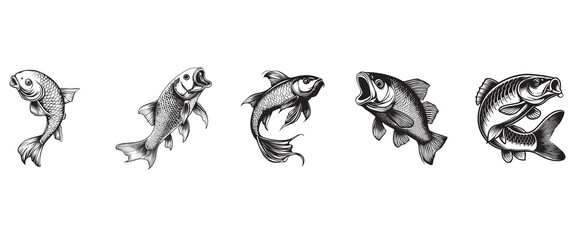 Silver carp fish vector illustration, Sea fish different poses Design
