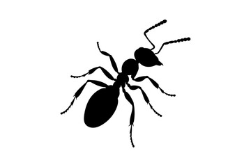 vector silhouette of an ant