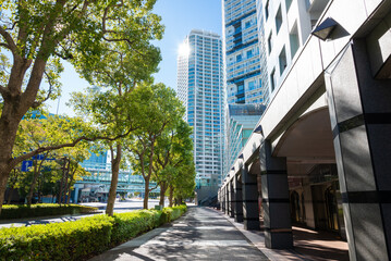 Obraz premium 横浜のビル街