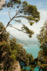 Paysage et port de portofino en Italie